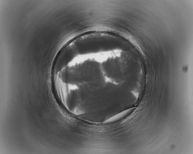 X0000097891229200804111009