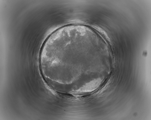 X0000097891231200804111009