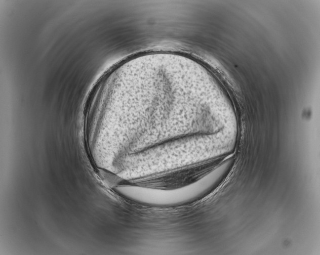 X0000097891232200804111009