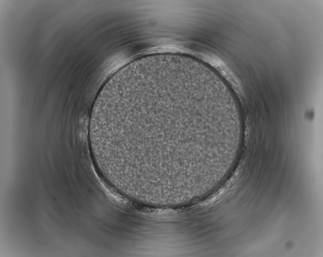 X0000097891233200804111009