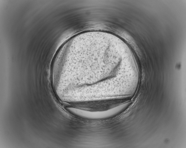 X0000097891234200804111009