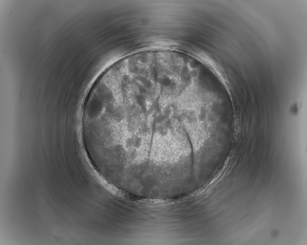 X0000097891235200804111009