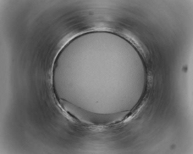 X0000097891236200804111009