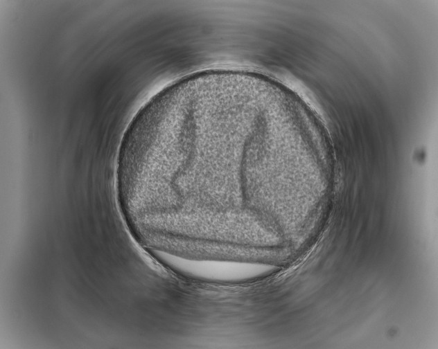 X0000097891237200804111009