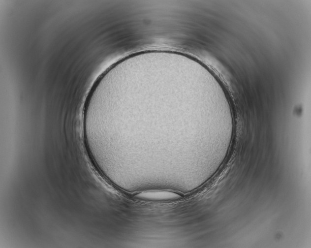 X0000097891238200804111009