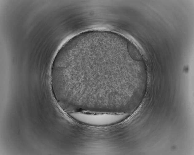 X0000097891240200804111009