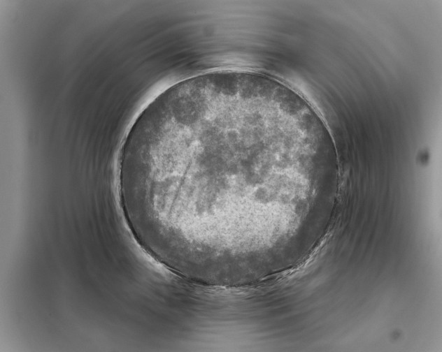 X0000097891243200804111009