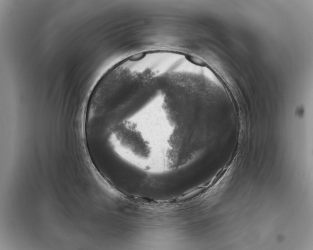 X0000097891246200804111009