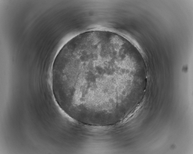 X0000097891247200804111010