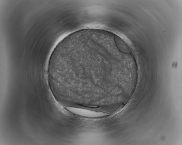 X0000097891248200804111010