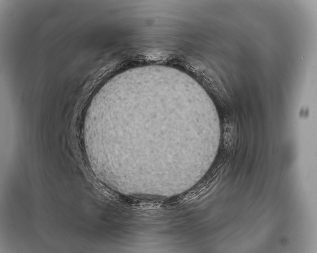 X0000097891249200804111009