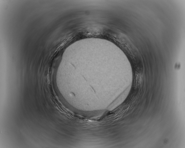 X0000097891250200804111009