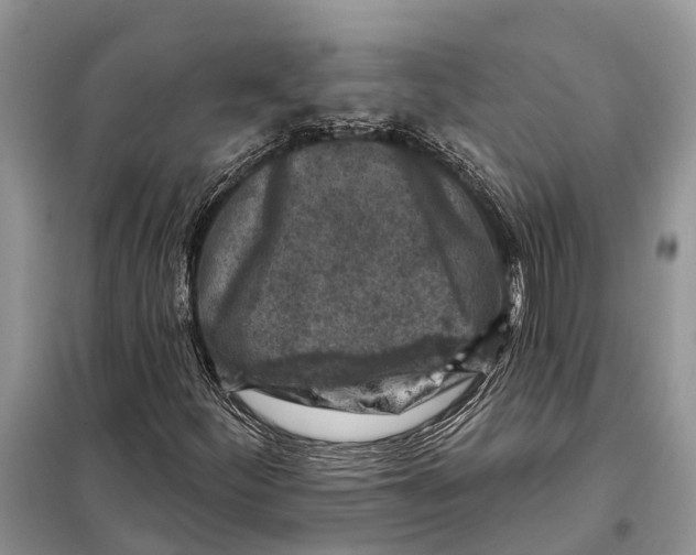 X0000097891252200804111008