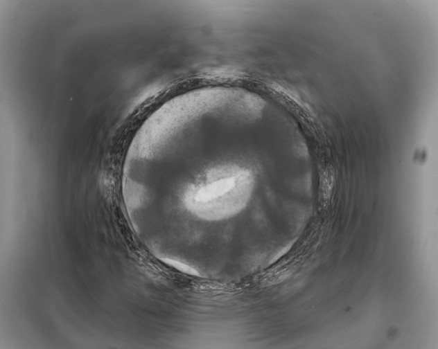 X0000097891254200804111008