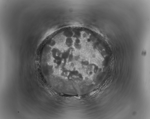 X0000097891255200804111008