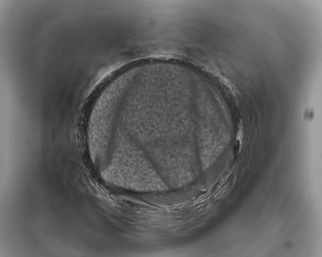 X0000097891256200804111008