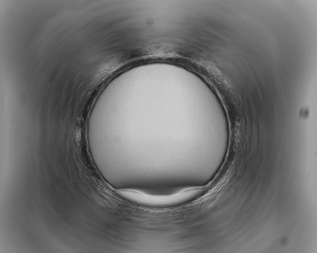 X0000097891257200804111008