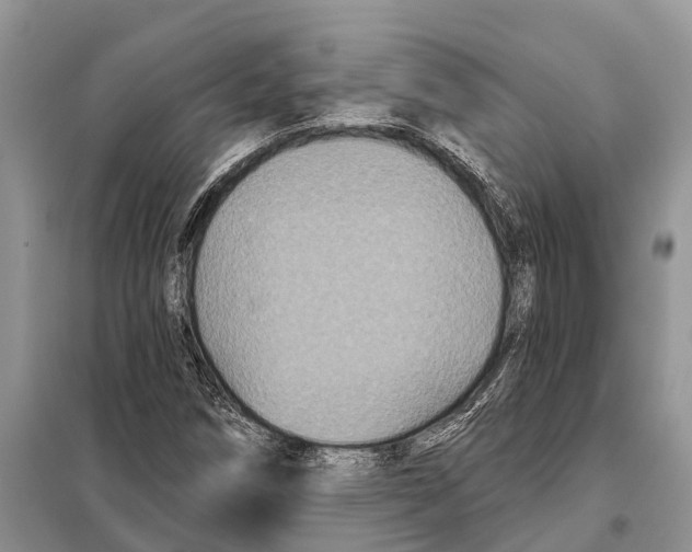 X0000097891258200804111008