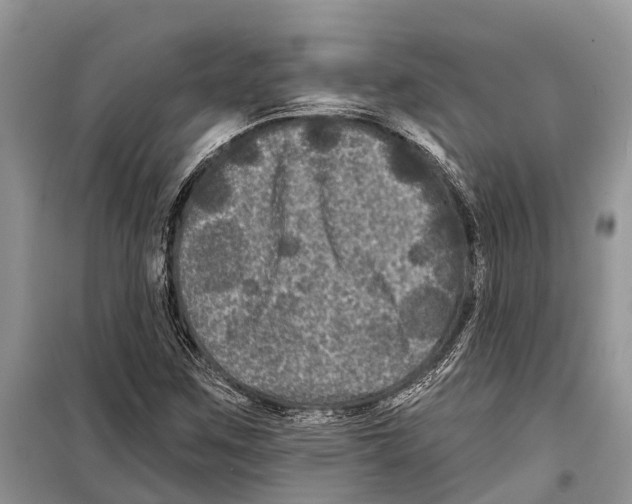 X0000097891259200804111008