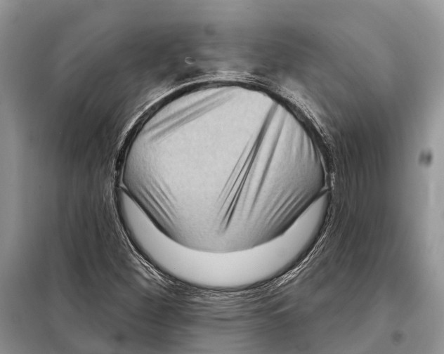 X0000097891260200804111008