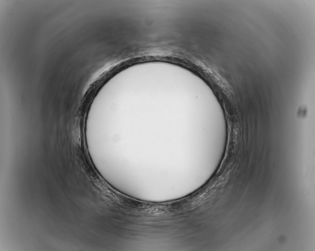 X0000097891262200804111008