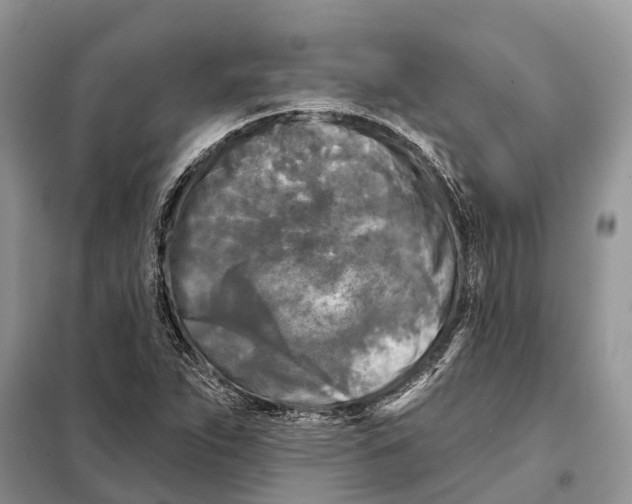 X0000097891263200804111008