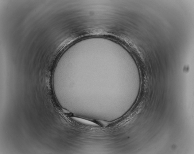 X0000097891265200804111008