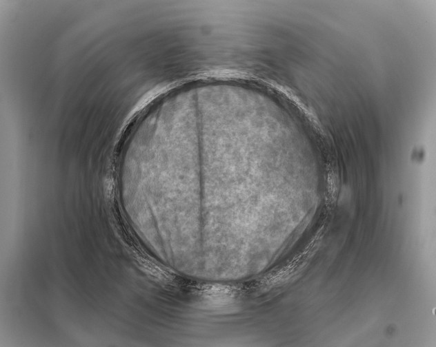 X0000097891266200804111008