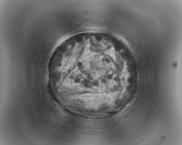 X0000097891267200804111008