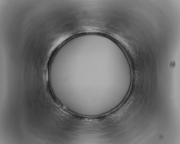 X0000097891269200804111008