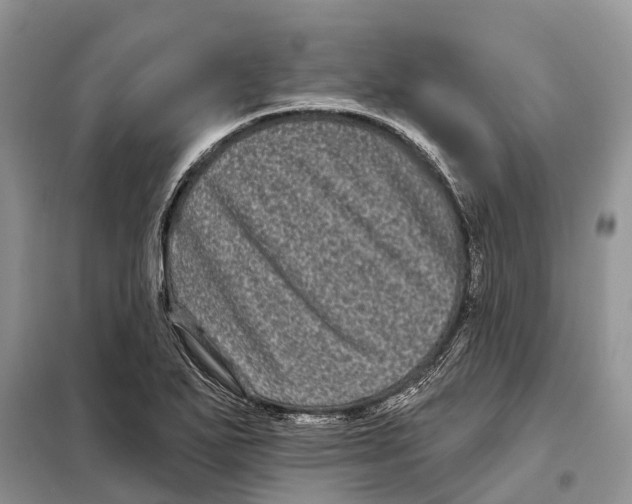 X0000097891271200804111008