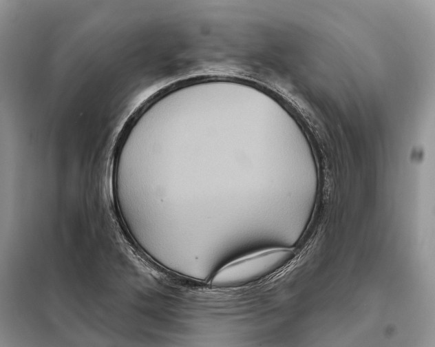 X0000097891272200804111008