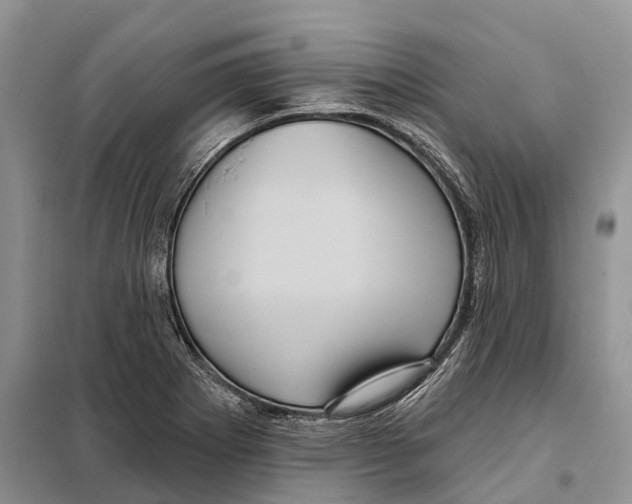 X0000097891273200804111008