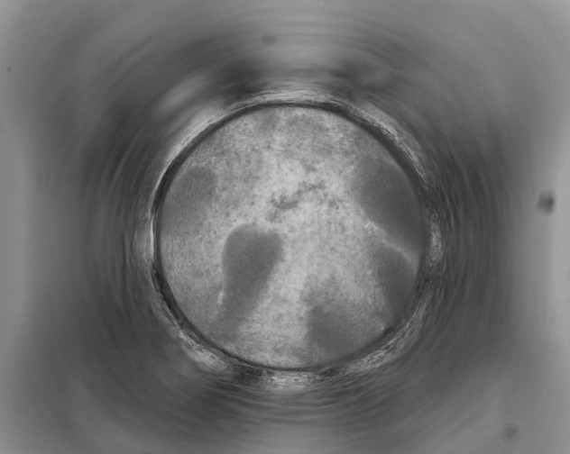 X0000097891274200804111008