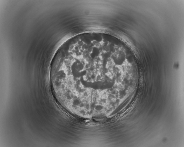 X0000097891275200804111008