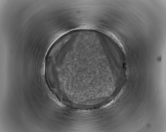 X0000097891276200804111008