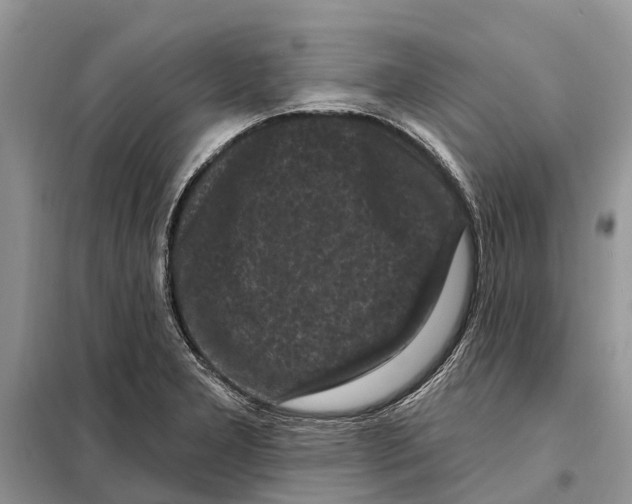 X0000097891277200804111008