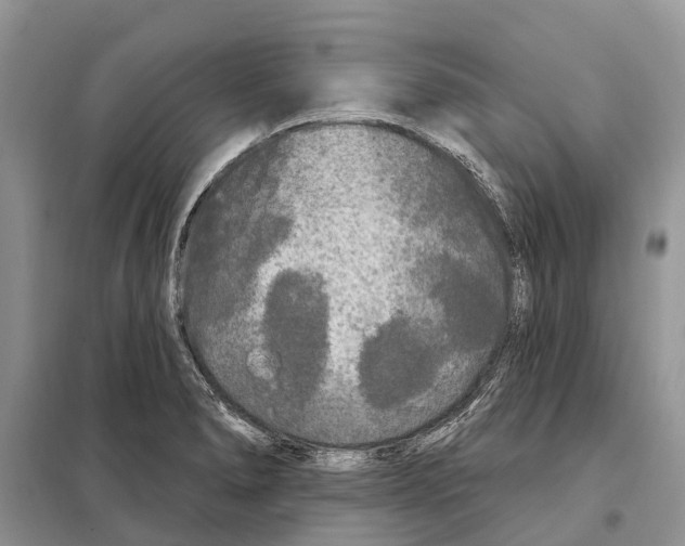 X0000097891278200804111008