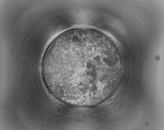 X0000097891279200804111008