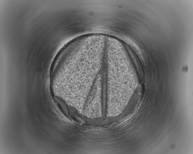 X0000097891280200804111008