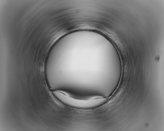 X0000097891281200804111008