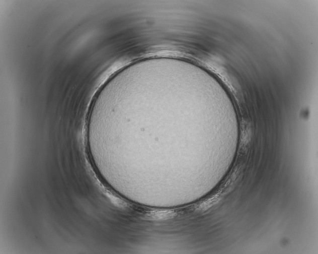 X0000097891282200804111008