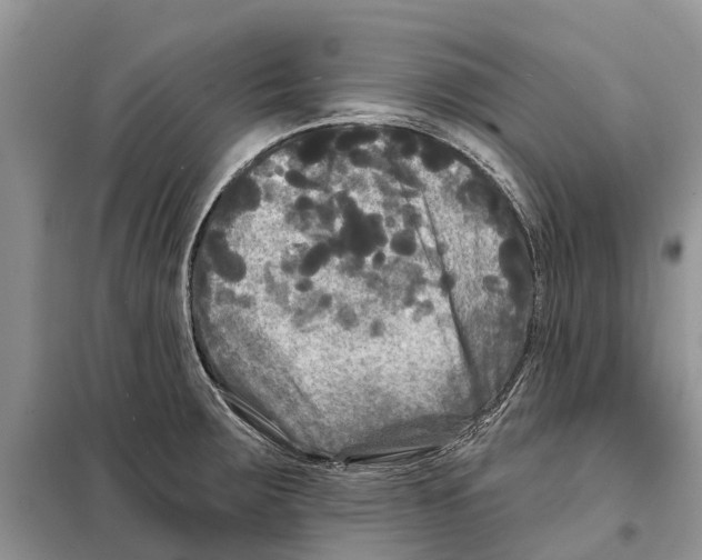 X0000097891283200804111008