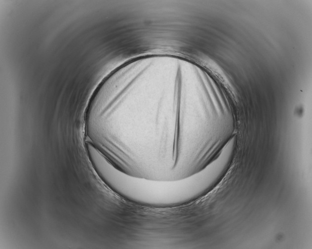 X0000097891284200804111008