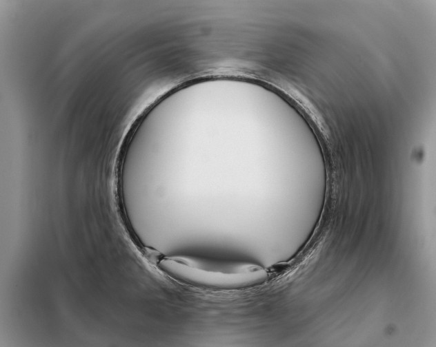 X0000097891285200804111008