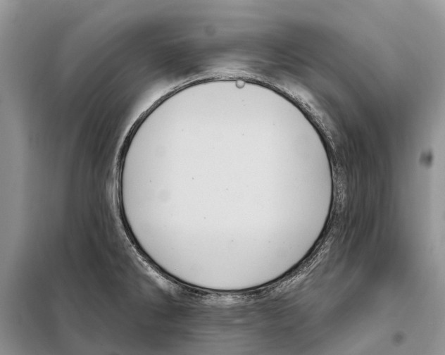 X0000097891286200804111008