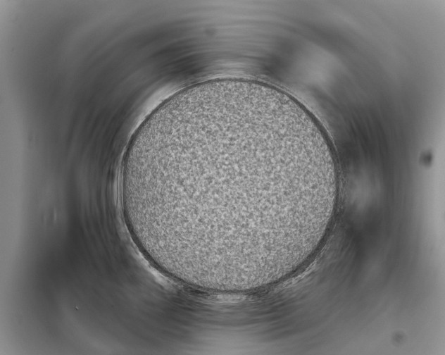 X0000097891290200804111008