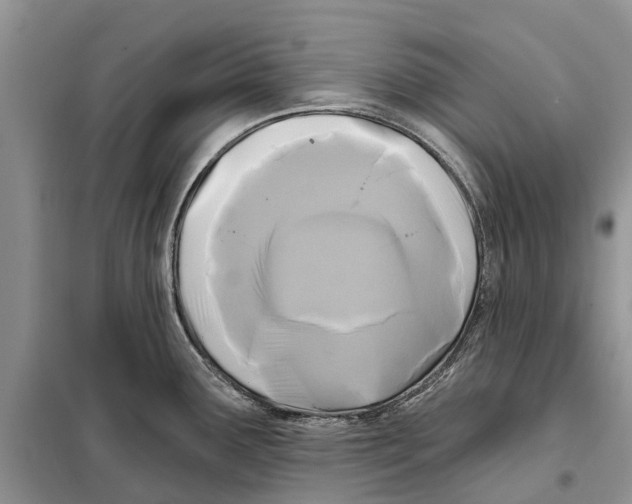 X0000097891291200804111008