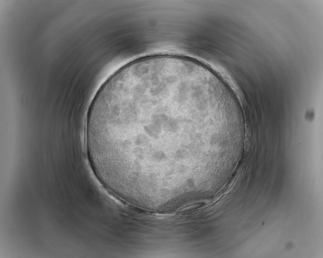 X0000097891295200804111008