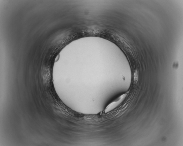 X0000097891299200804111007